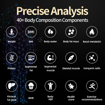 Gym Use Full Body Analyzer Body Scanner Analyzer Scanner Machine Human Composition Measurement Fat Analyse