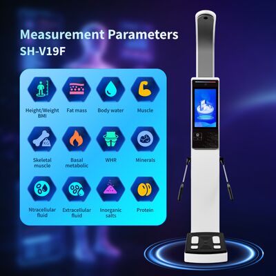 Body BMI Measuring and Human Body element Detection Body Composition Analyzer With Printer Fat Analyzing Machine