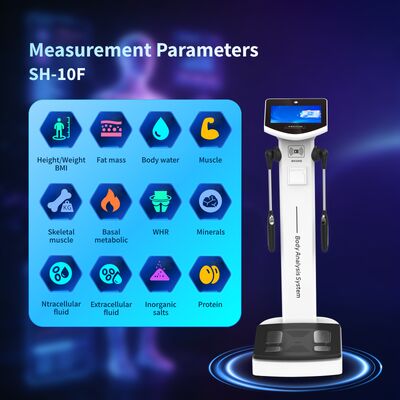 Hot Sale Body Fat Scale Analyzer Machine Body 270 Body Composition Analyzer Use in Clinic Fitness Club