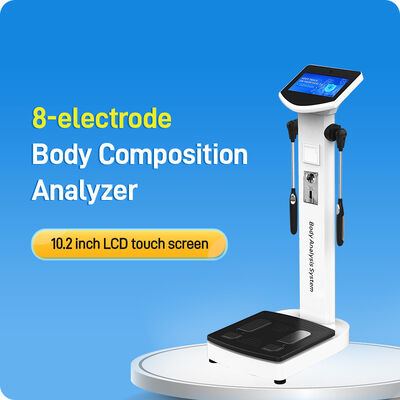 Machine d'analyse corporelle intelligente SH-10F pour salle de sport