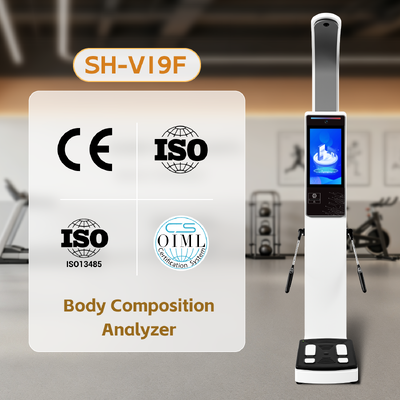Instrument intelligent de mesure corporelle, balance corporelle IMC SH-V19F, analyseur de composition corporelle
