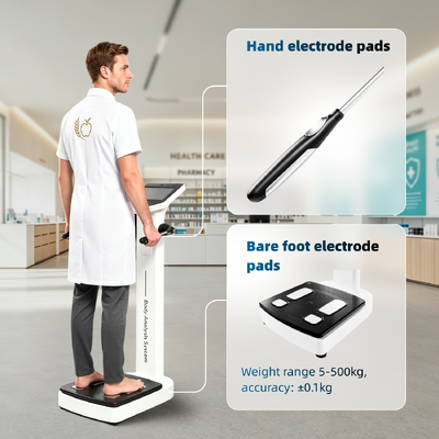 Moniteur de graisse corporelle à écran tactile LCD à huit électrodes SH-10F avec Wi-Fi/OEM/ODM pour l'analyse corporelle